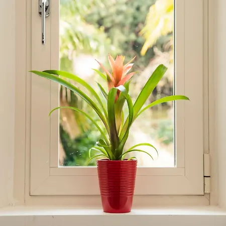 Gran Panorama Legami Charme&relax *