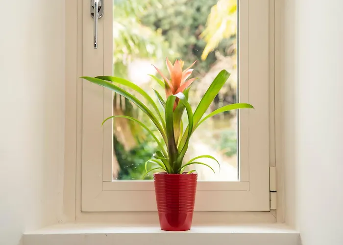 Gran Panorama Legami Charme&relax *